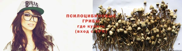 дмт Иннополис