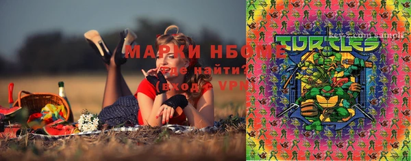 бошки Инсар