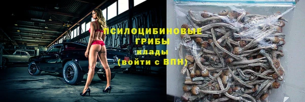 бошки Инсар