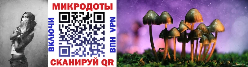Псилоцибиновые грибы Psilocybine cubensis  Купить где  Кудрово 
